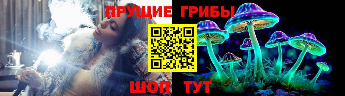 Псилоцибиновые грибы Cubensis  Вход с VPN  Семилуки  Галлюциногенные грибы мицелий 